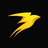 STORM logo